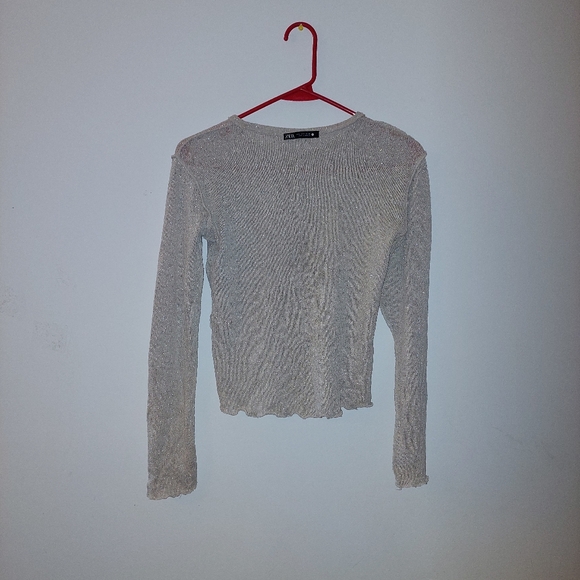 Shinny zara mesh top - Picture 2 of 3
